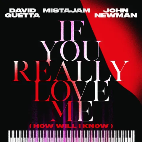 David Guetta, MistaJam, & John Newman — If You Really Love Me (How Will I Know) cover artwork