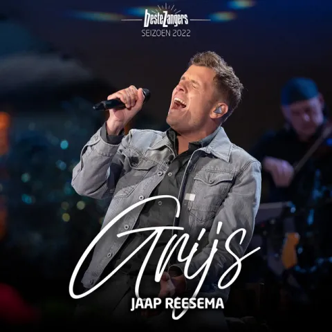 Jaap Reesema — Grijs cover artwork