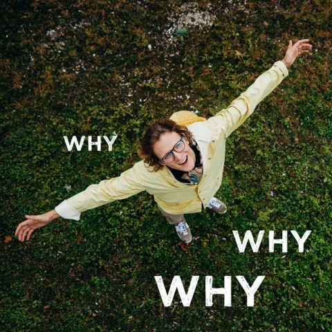 Andy Vaic — Why Why Why cover artwork
