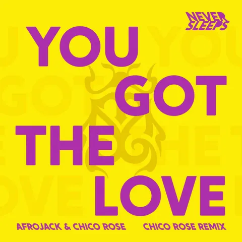Never Sleeps featuring Afrojack & Chico Rose — You Got The Love (Chico Rose Remix) cover artwork