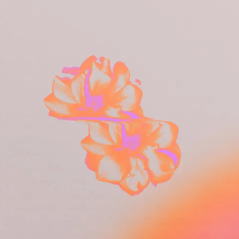Dreamhome featuring Rosie Ugly & Hotel Pools — Mirrors cover artwork