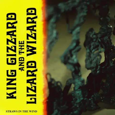 King Gizzard &amp; the Lizard Wizard — Straws In The Wind cover artwork