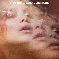 Agnes Nothing Can Compare cover artwork