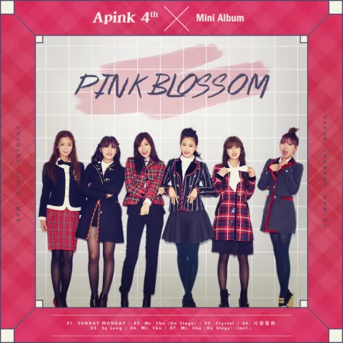 Apink — Mr. Chu cover artwork