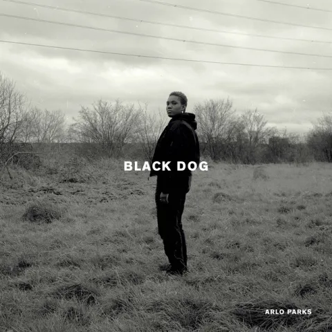 Arlo Parks — Black Dog cover artwork
