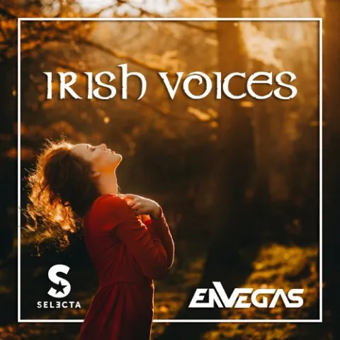 DJ SELECTA &amp; ENVEGAS Irish Voices cover artwork