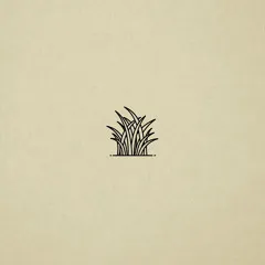 Bryde — Still (shadow) cover artwork