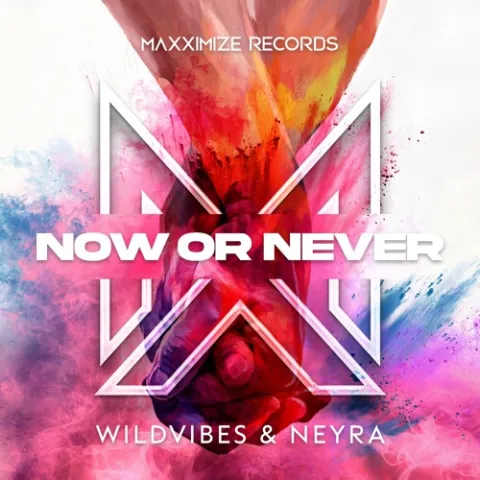 WildVibes & Neyra — Now Or Never cover artwork