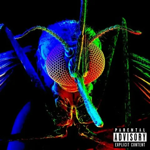 Lil Mosquito Disease — Get Shot cover artwork