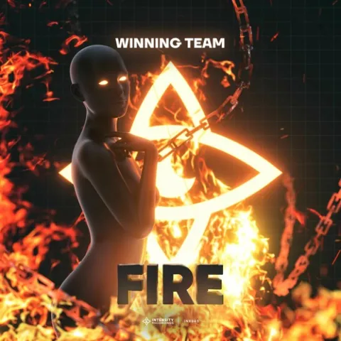 Winning Team — Fire cover artwork