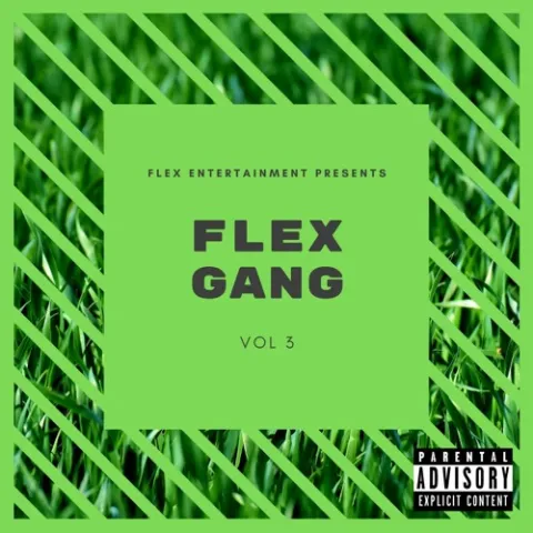 Flex Entertainment Flex Gang, Vol. 3 cover artwork