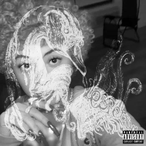JamKam Mixes, Ice Spice, & Björk — Mood Poetry cover artwork