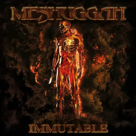 Meshuggah — The Abysmal Eye cover artwork