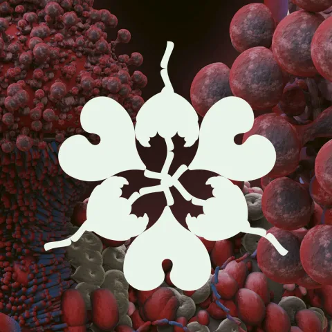 Björk featuring Shygirl — Ovule (Sega Bodega Remix) cover artwork