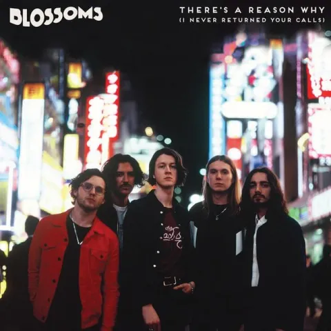 Blossoms — There&#039;s a Reason Why (I Never Returned Your Calls) cover artwork