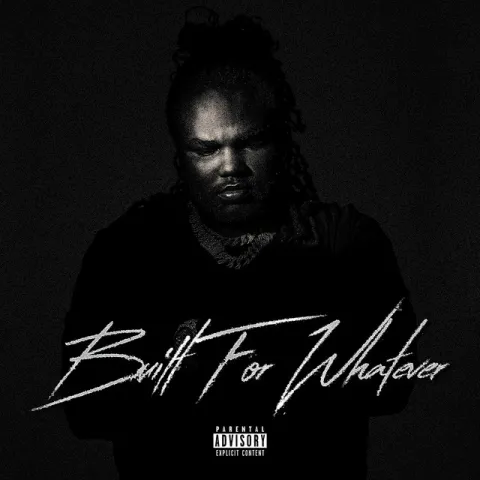 Tee Grizzley featuring Big Sean — What We On cover artwork