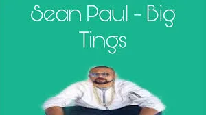 Sean Paul — Big Tings cover artwork