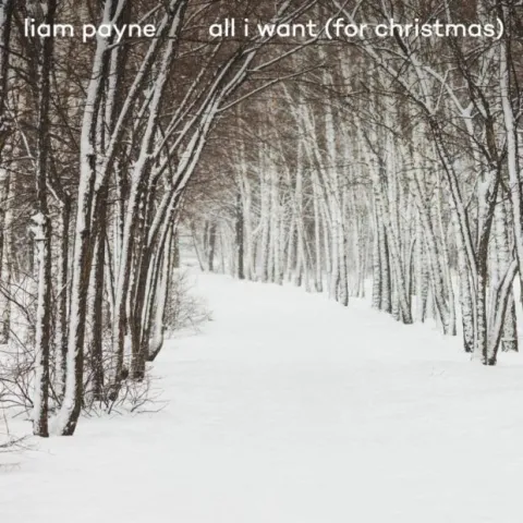 Liam Payne — All I Want (For Christmas) cover artwork