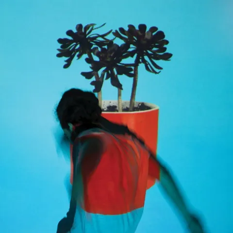 Local Natives Sunlit Youth cover artwork