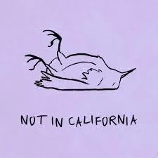 K.Flay — Not in California cover artwork
