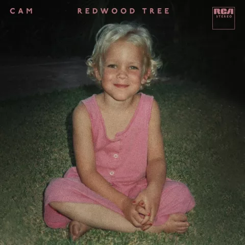 Cam — Redwood Tree cover artwork