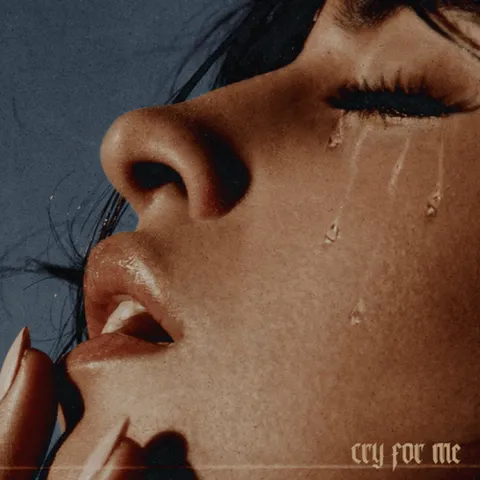 Camila Cabello — Cry for Me cover artwork