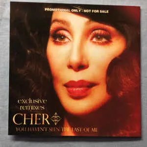 Cher — You Haven&#039;t Seen the Last of Me cover artwork