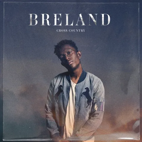 BRELAND ft. featuring Lady A Told You I Could Drink cover artwork