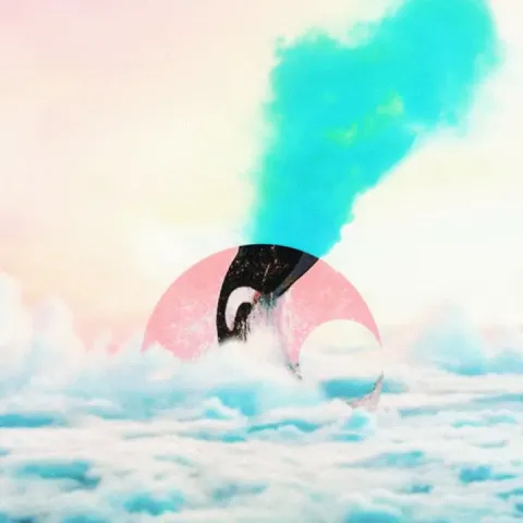 Crush Don&#039;t Forget cover artwork
