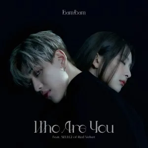 BamBam (GOT7) featuring SEULGI — Who Are You cover artwork