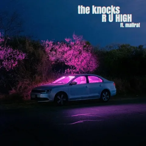 The Knocks ft. featuring Mallrat R U HIGH cover artwork