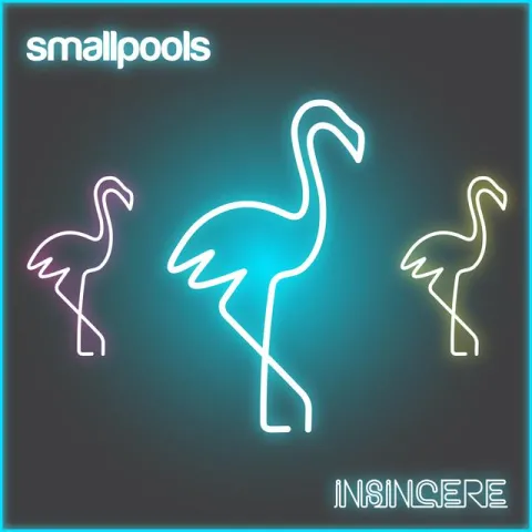 Smallpools — Insincere cover artwork
