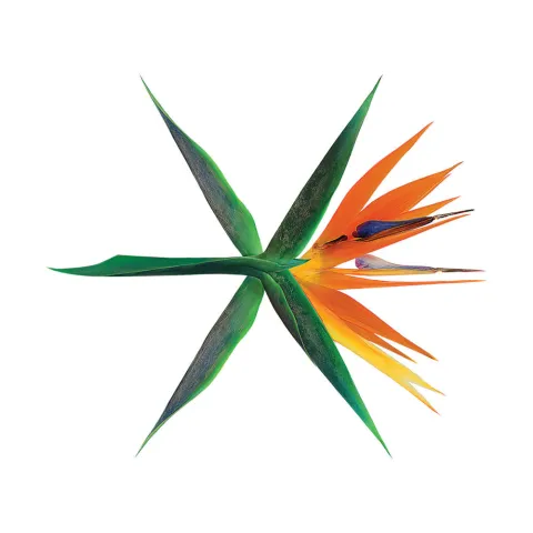 EXO — The War cover artwork