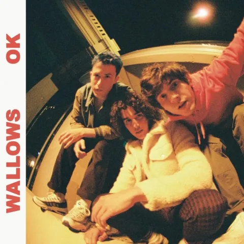 Wallows — OK cover artwork