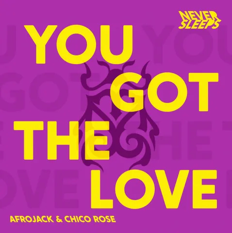 Never Sleeps featuring Afrojack & Chico Rose — You Got The Love cover artwork