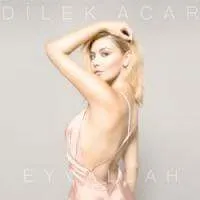 Dilek Acar — Eyvallah cover artwork