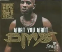 DMX featuring Sisqó — What You Want cover artwork