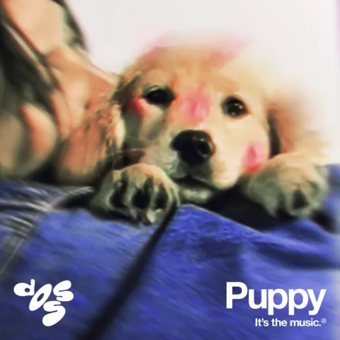 Doss — Puppy cover artwork