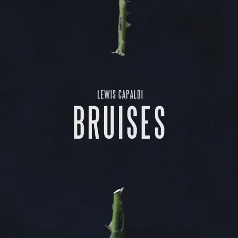 Lewis Capaldi — Bruises cover artwork