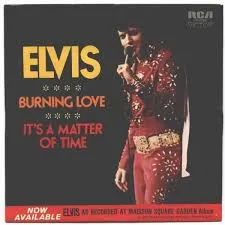 Elvis Presley — Burning Love cover artwork