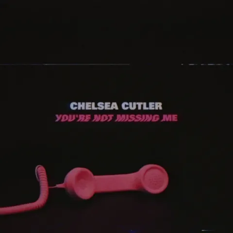Chelsea Cutler — You&#039;re Not Missing Me cover artwork
