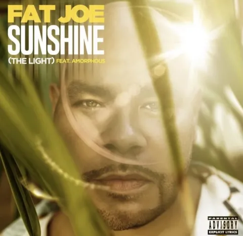 Fat Joe, DJ Khaled, & Amorphous — Sunshine (The Light) cover artwork