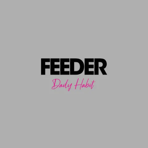 Feeder — Daily Habit cover artwork