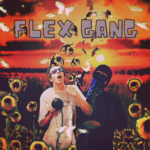 Big Baller B & Lil Mosquito Disease — Flex Gang cover artwork