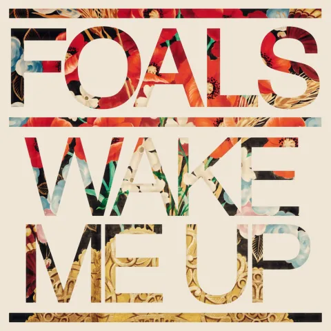 Foals Wake Me Up cover artwork