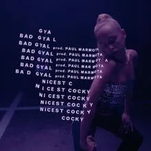 Bad Gyal — Nicest Cocky cover artwork