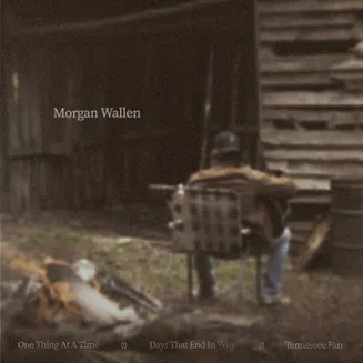 Morgan Wallen One Thing At A Time (Sampler) cover artwork