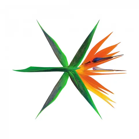 EXO The War cover artwork