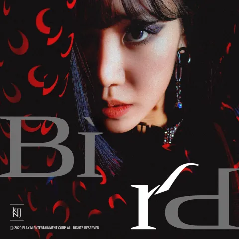 Kim NamJoo — BIRD cover artwork