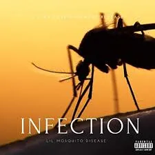 Lil Mosquito Disease — Mosquitos cover artwork